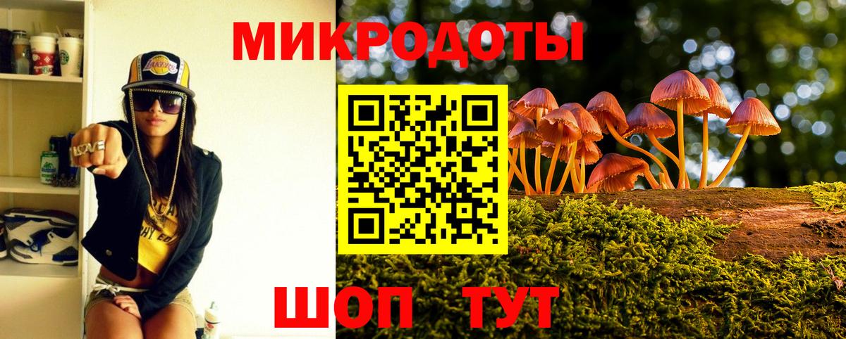 Галлюциногенные грибы Psilocybe Камышин