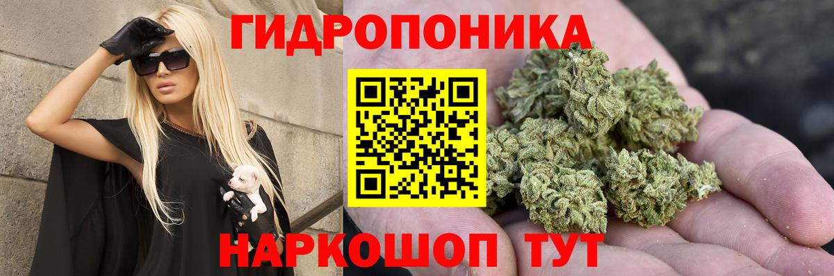 Марихуана конопля Камышин